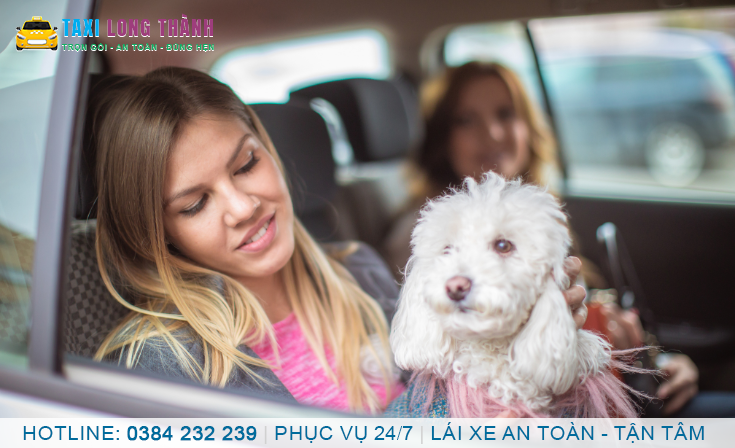 Xe Dịch Vụ Bến Cam Nhơn Trạch Đồng Nai