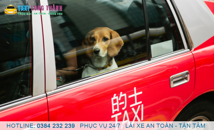 Xe Dịch Vụ Bến Cam Nhơn Trạch Đồng Nai